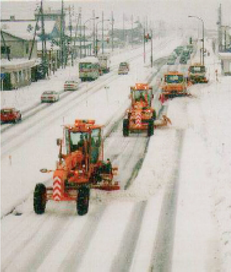 新雪が降ったら